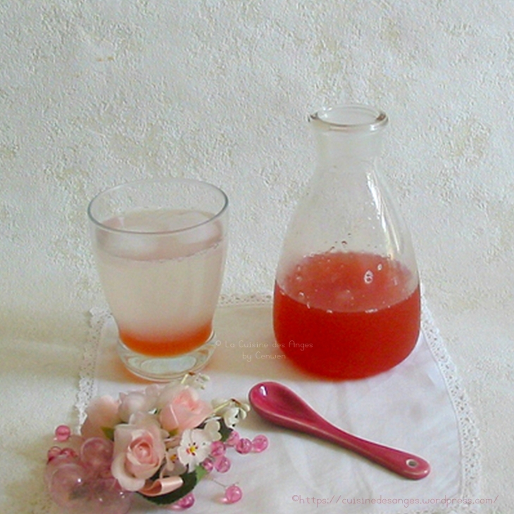 recette de sirop à la rhubarbe, à la rose et au citron vert, à diluer dans de l'eau