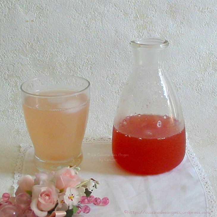 recette de sirop à diluer dans de l'eau à base de rhubarbe, citron vert et arôme de rose