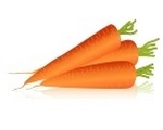 la carotte, un légume de saison qui se cuisine au mois de juin
