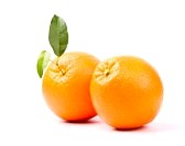  ○ { L'oranges } ○